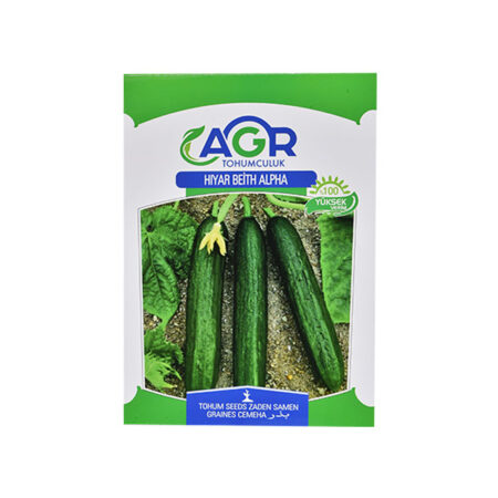 AGR-48 BEİTH ALPHA SALATALIK