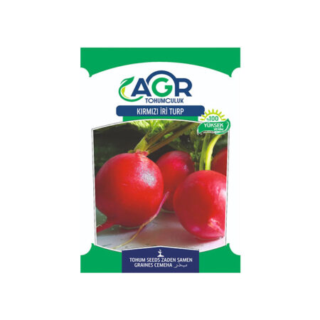 AGR-42 KIRMIZI İRİ TURP