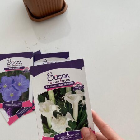 DATURA MELEKLER BORAZANI