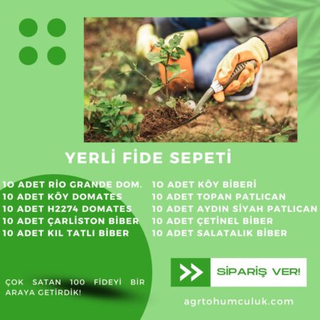 YERLİ FİDE SEPETİ